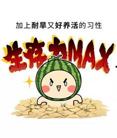 娱乐吃瓜酱中华文化